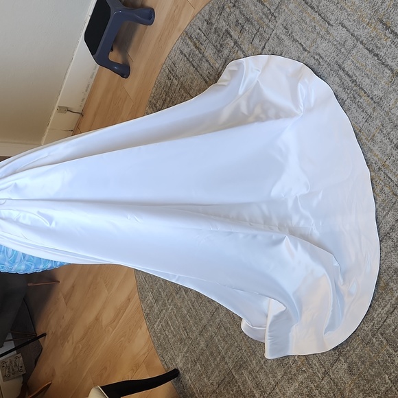 Size 4, Homecoming/pageant/prom cocktail avail w or w/o removable waist train! - Picture 10 of 10